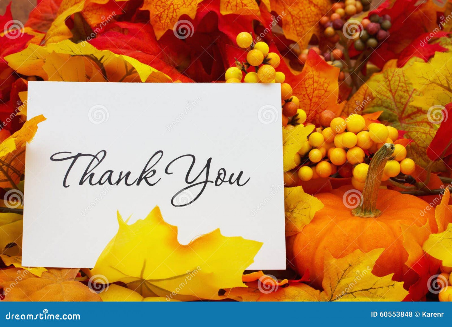 ,56 Thank You Autumn Stock Photos - Free & Royalty-Free Stock