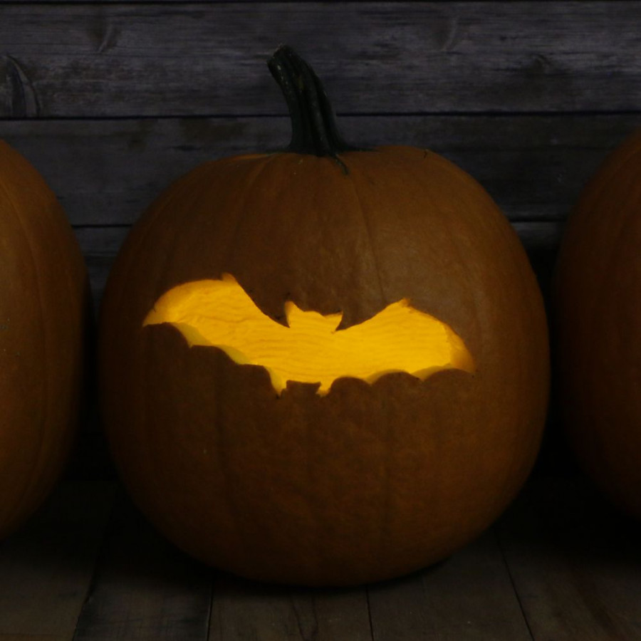 Bat Pumpkin Carving Stencil