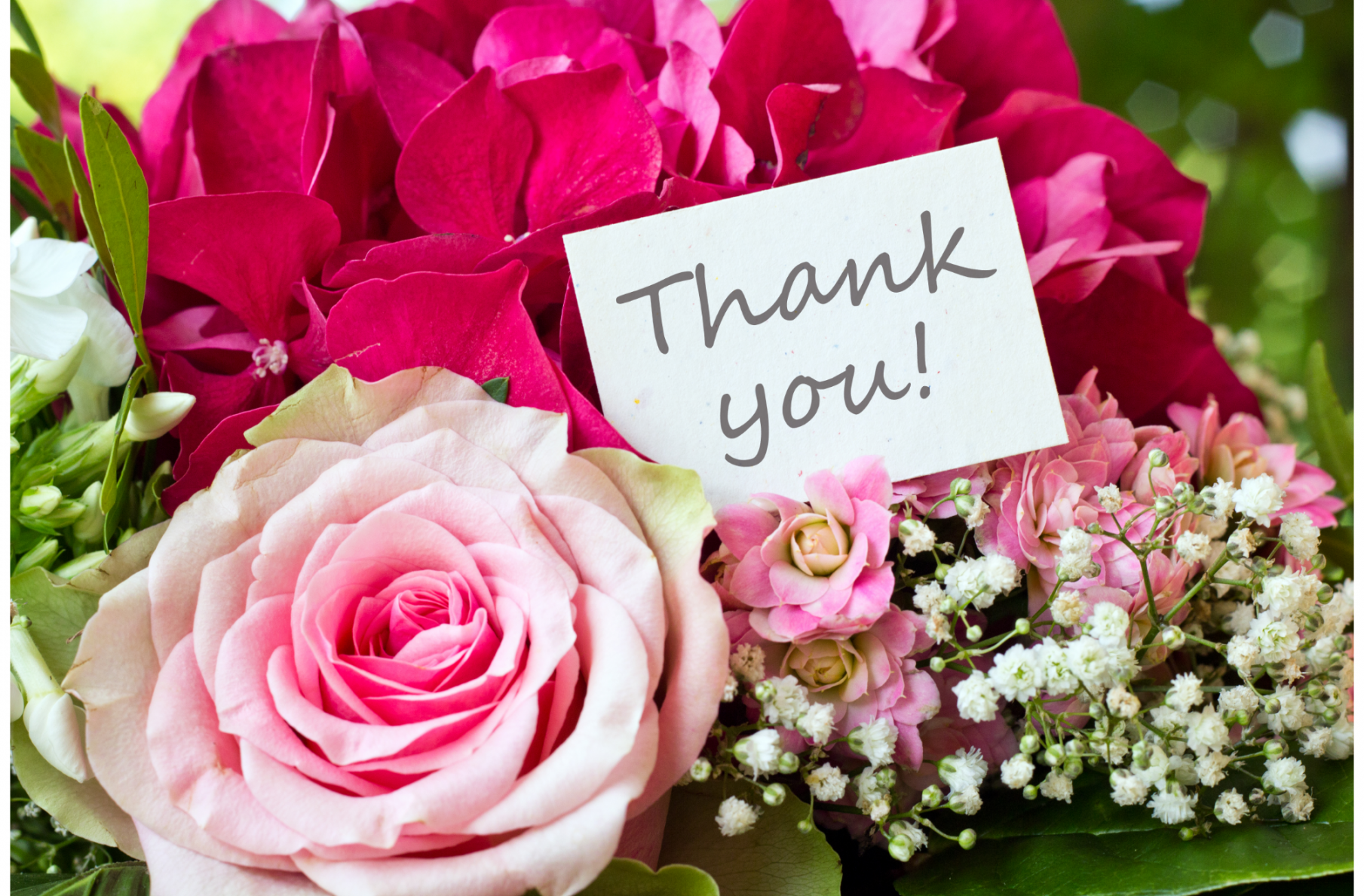 Best Thank You Flowers to Express Your Gratitude - OZ Flower