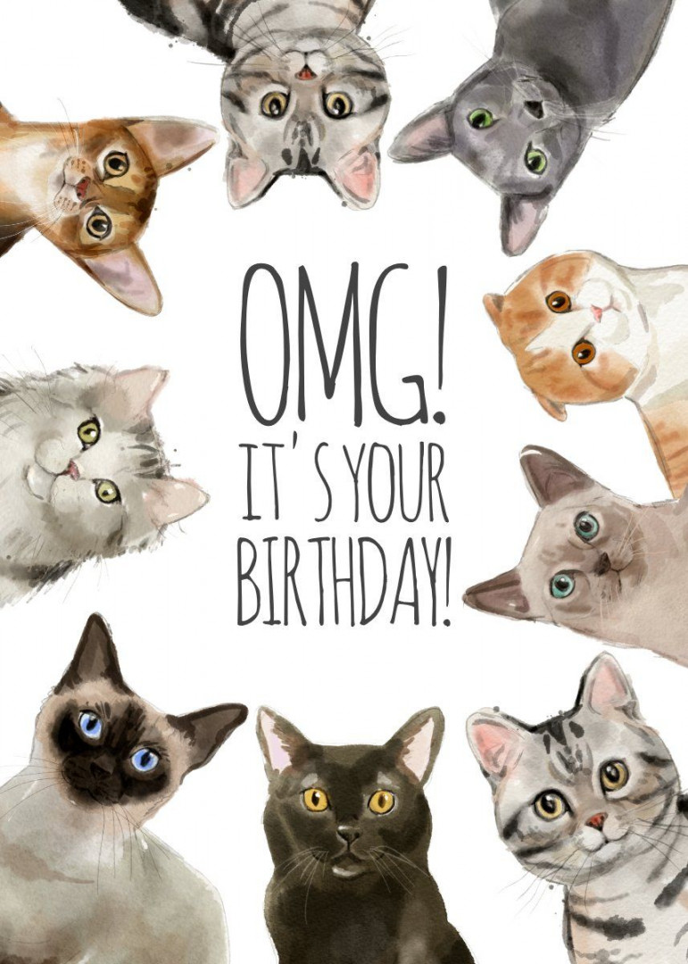 Cat Lady Birthday  OMG! It