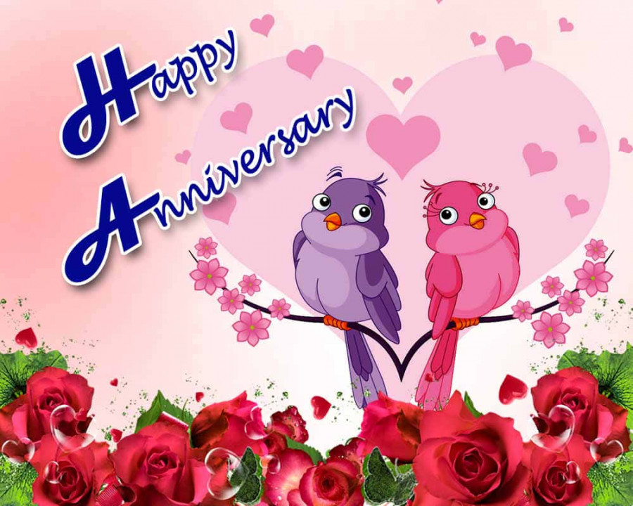 Download Happy Anniversary Animated Birds Picture  Wallpapers