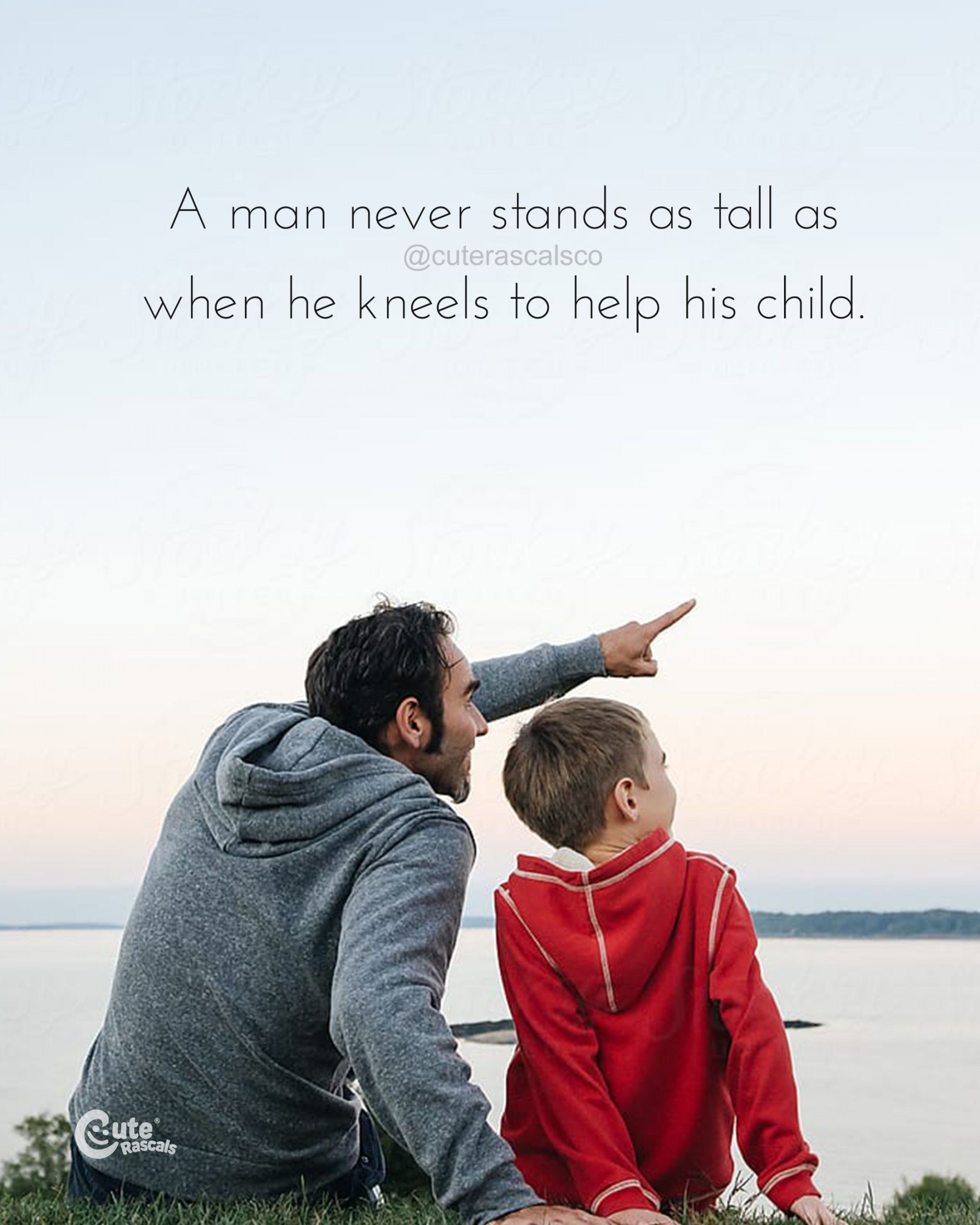 Father and Son Quotes and Sayings  Father son quotes, Father