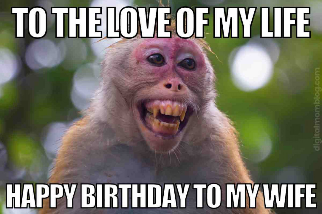 Happy Birthday Memes: Funny Bday Images And Quotes