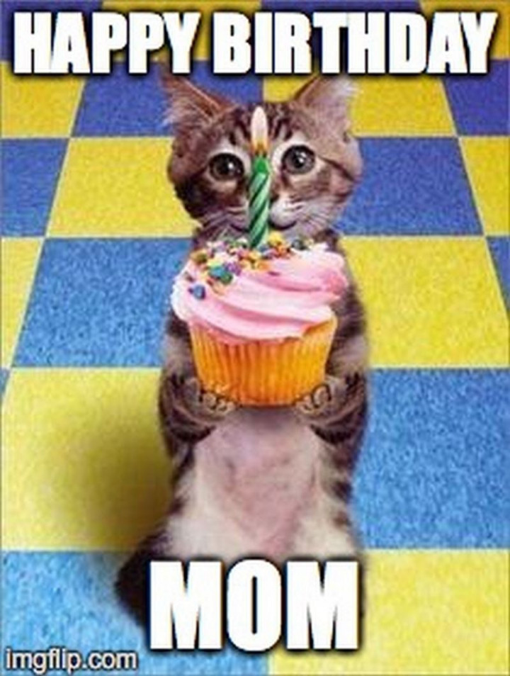 Happy Birthday Mom Memes  Happy birthday mom meme, Happy