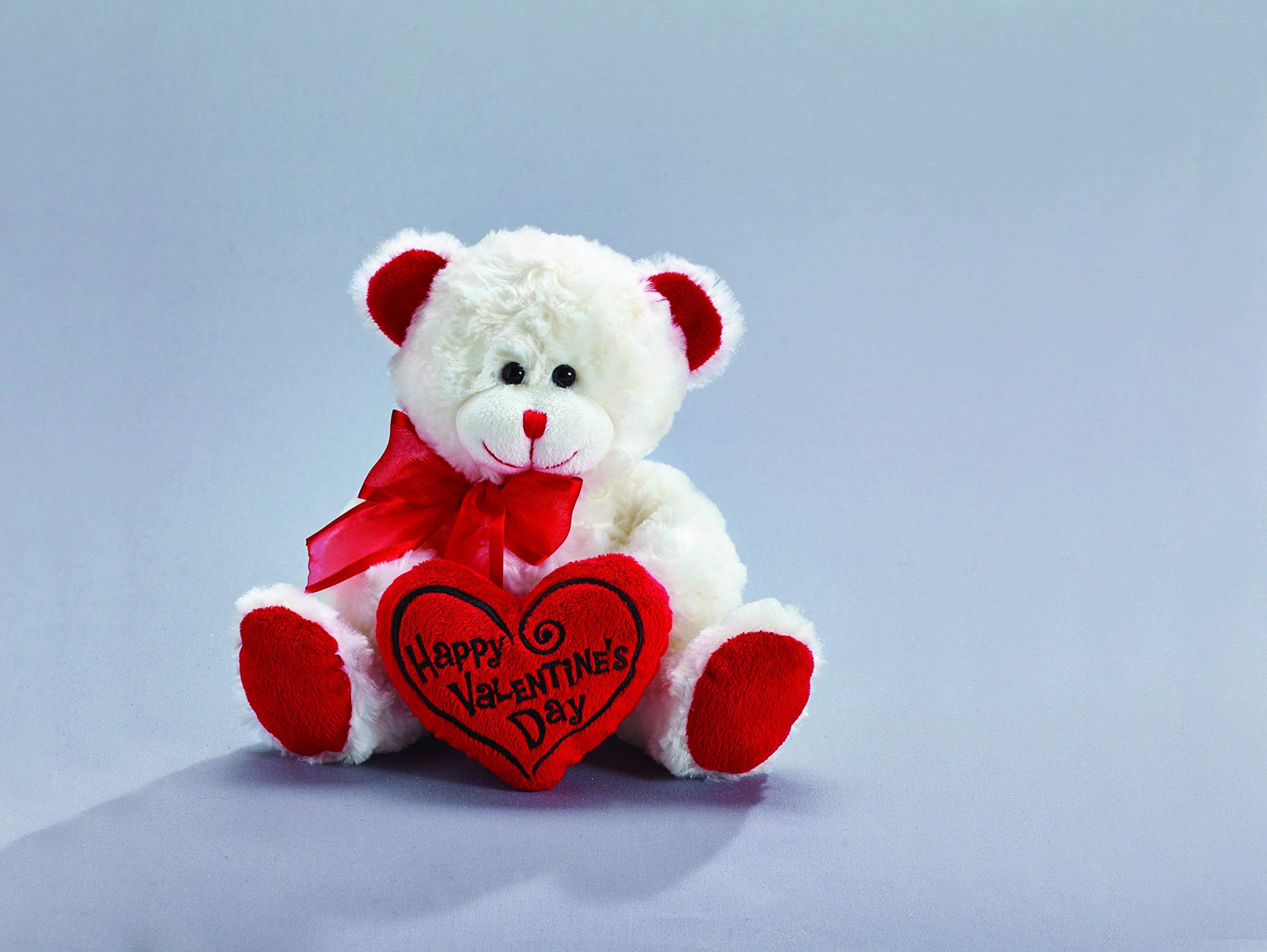 Happy Valentine&#;s Day Bear " Animal Plush- White with Red Message Pillow