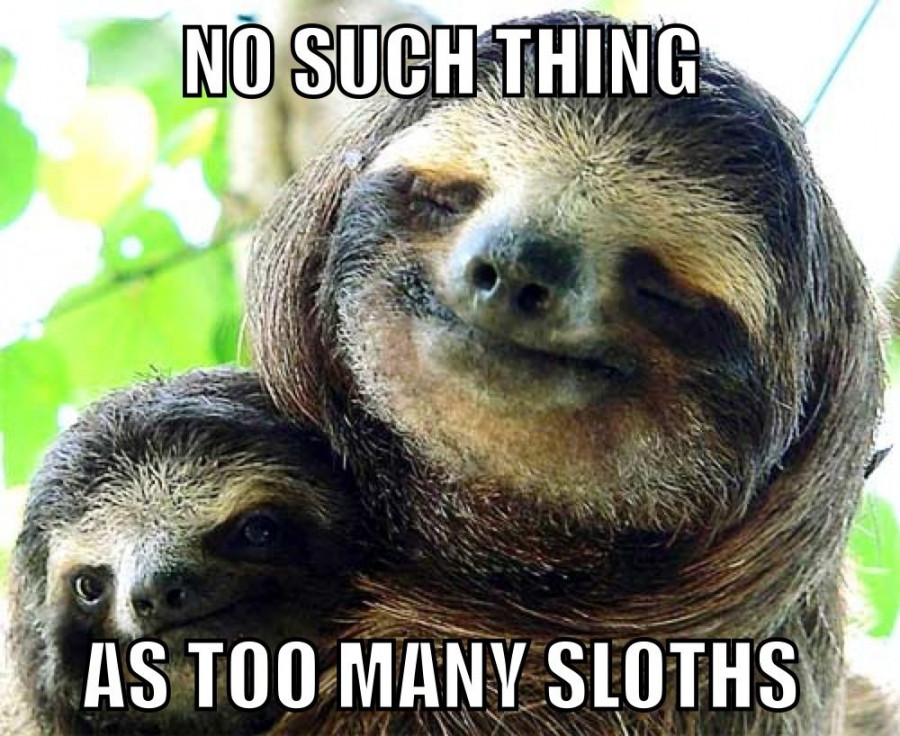 Hilarious Dirty Sloth Memes for a Good Laugh