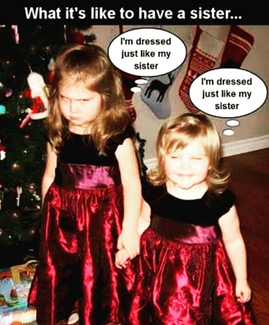 Of The Best Sister Memes Of All Time  Funny sister memes