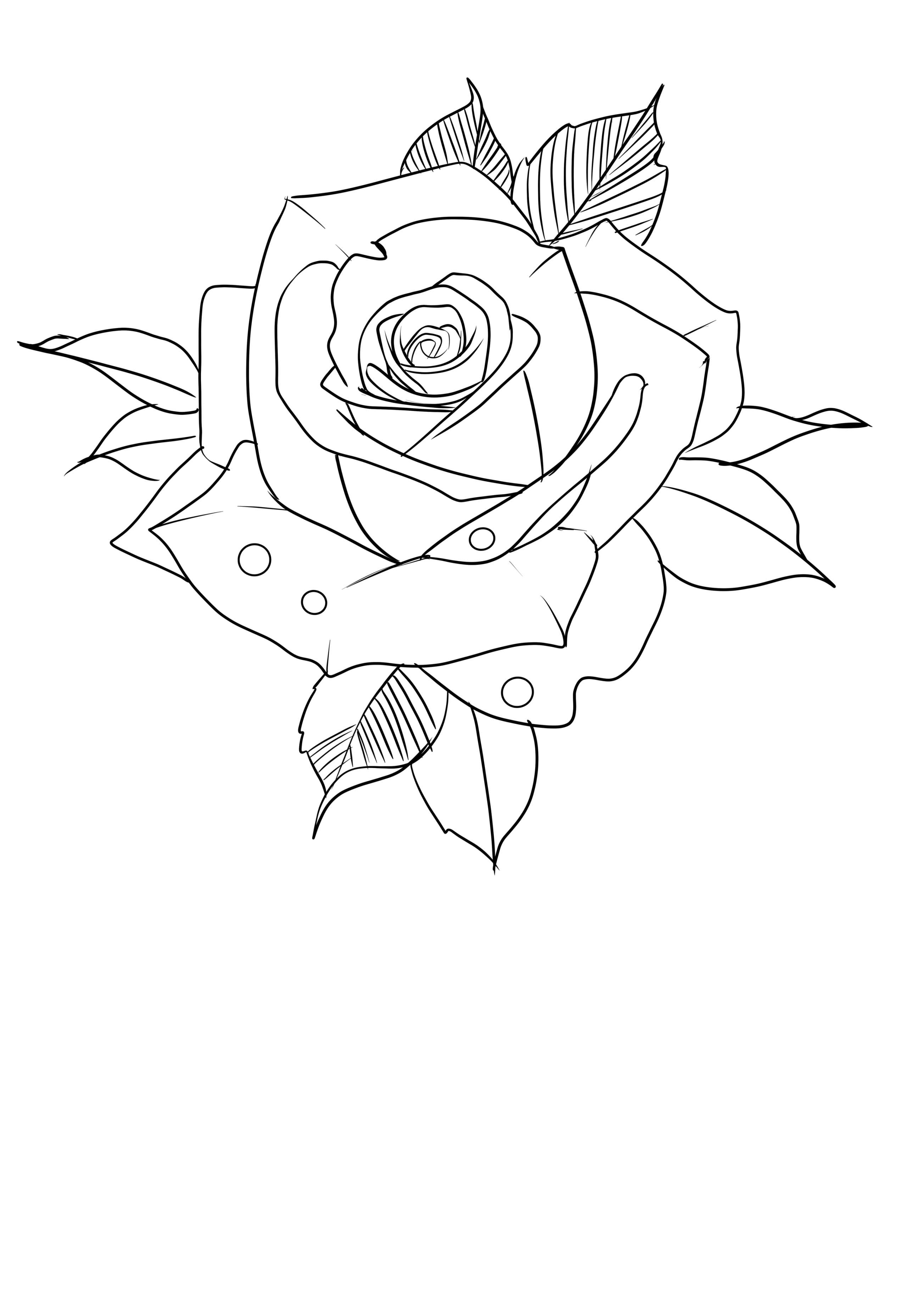 Pin by Kevin Stecher on Bg  Rose drawing tattoo, Rose stencil