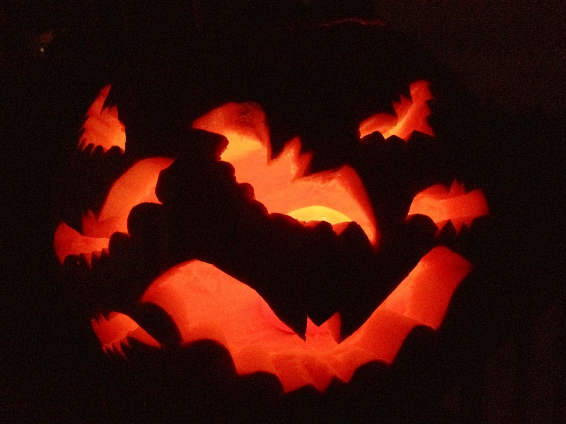 Pumpkin Carving - Bats  Pumpkin carving, Amazing pumpkin carving