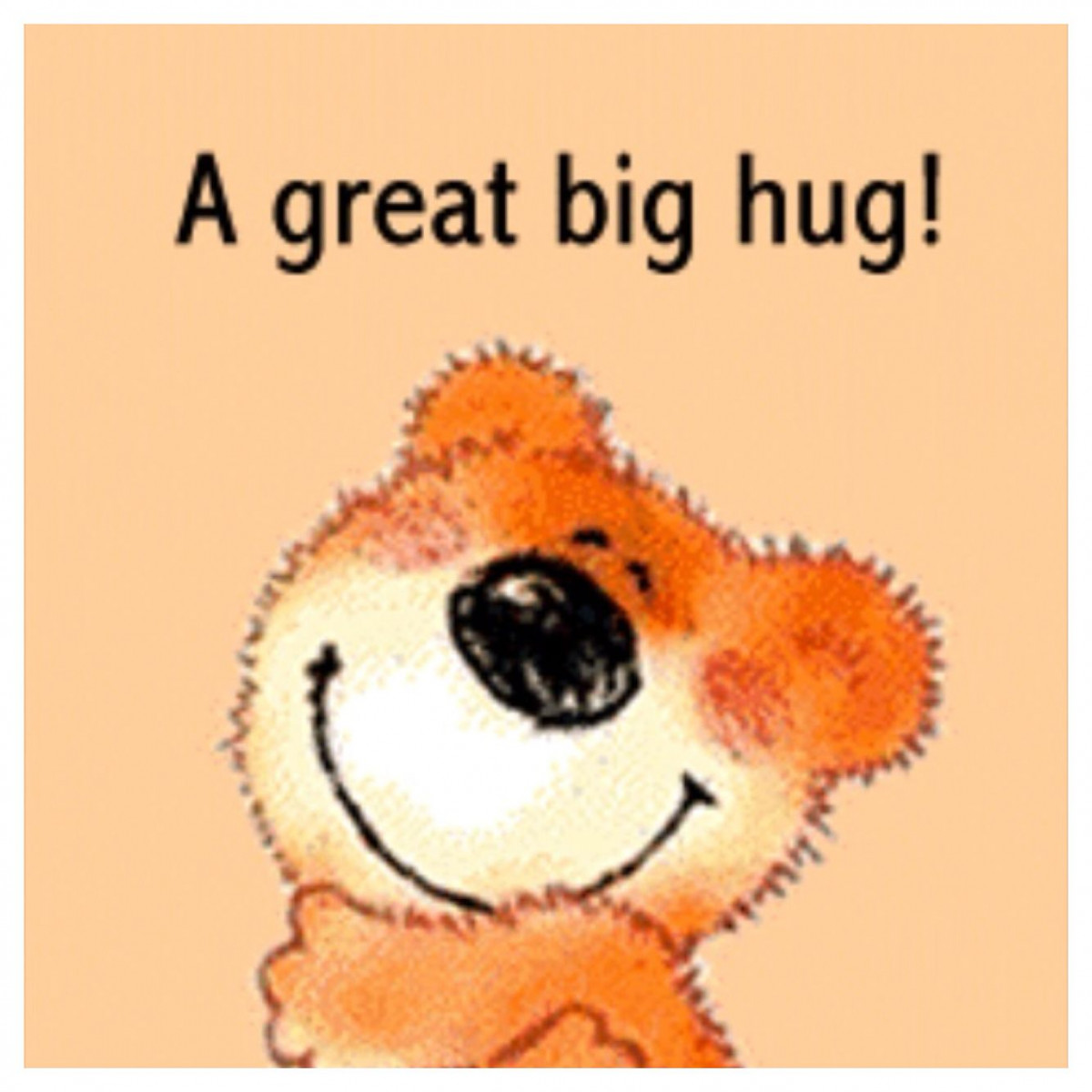 Big Hug  Hug quotes, Hug gif, Hug pictures