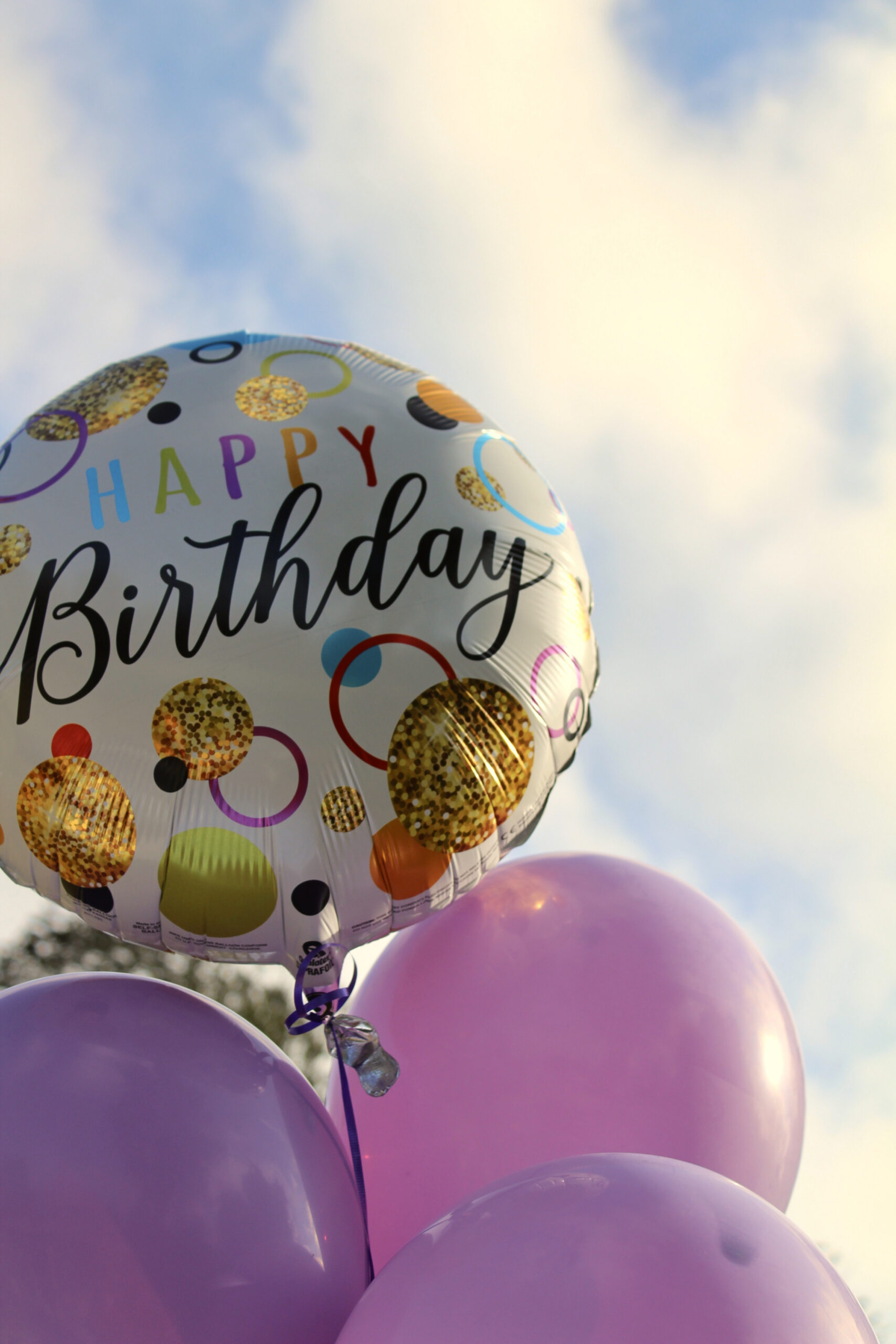 + Birthday Balloons Pictures  Download Free Images on Unsplash