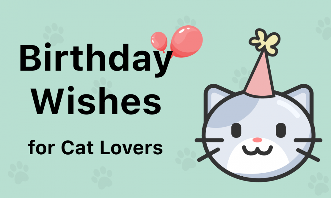 Birthday Wishes for Cat Lovers [Free Cards]