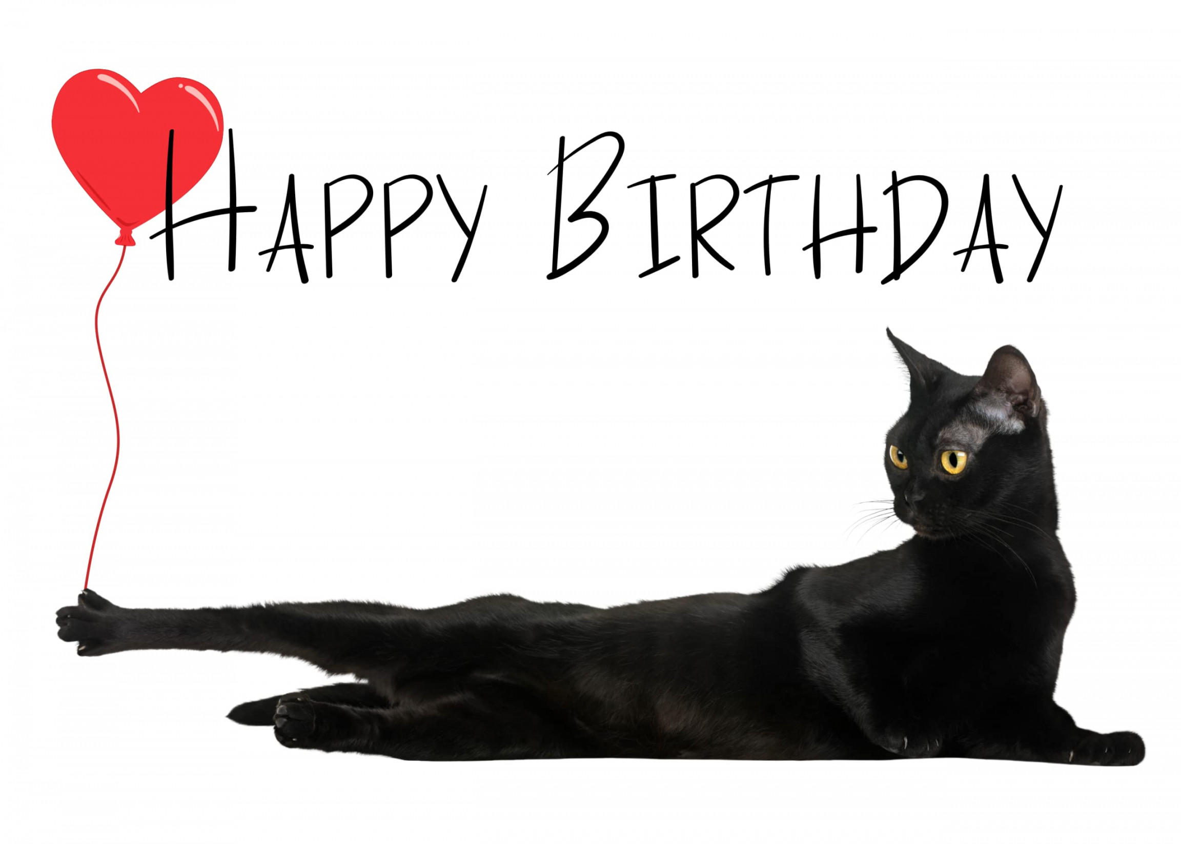 Cats Birthday Card Black Cat Baloon Birthday Card