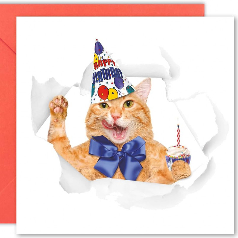 Cult Kitty Cute cat birthday, cat birthday card, cat owner card, funny cats  birthday card, cat lover card, cat birthday card, cat lover, birthday card