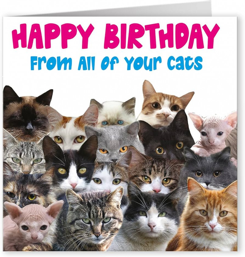 Cult Kitty, From Your Cats, Funny Cat Birthday Card for Him, Birthday Card  for Her, Mum Birthday Card, Dad Birthday Card, Husband or Wife, Son or