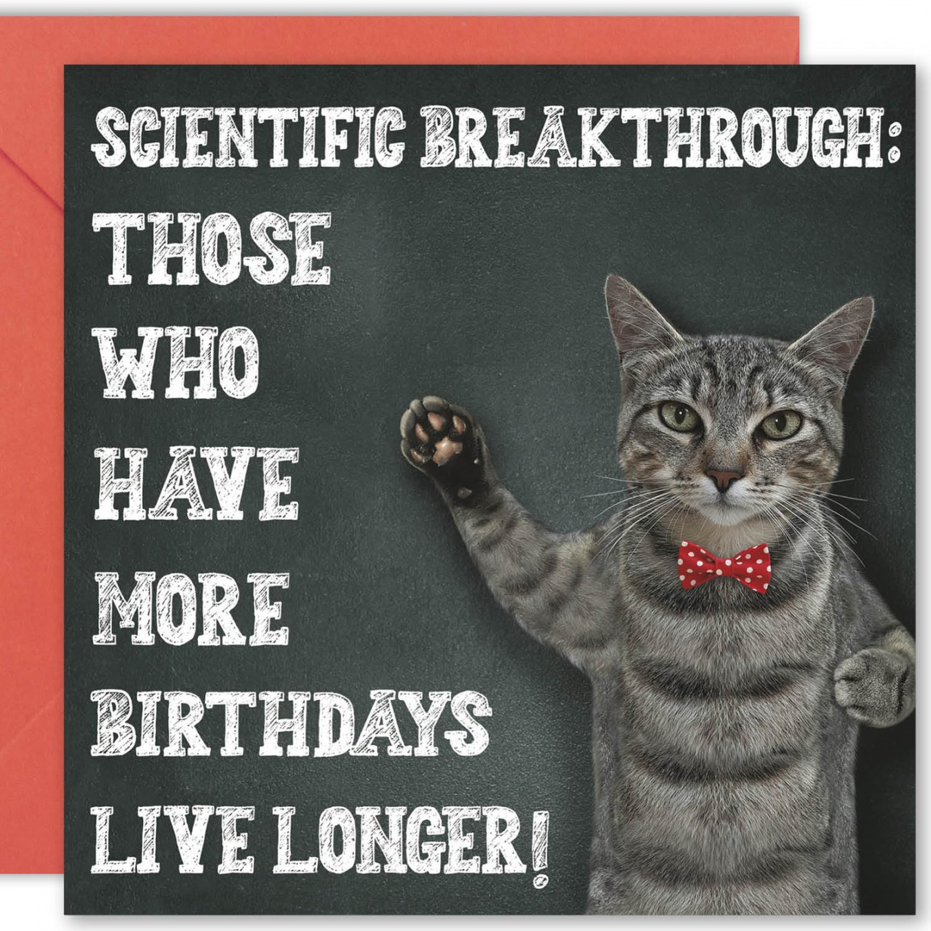 Cult Kitty, More Birthdays Cat, Joke Happy Birthday Cards for Him, Funny  Birthday Card for Her, Funny Birthday Card for Men, Funny Cat Birthday  Cards