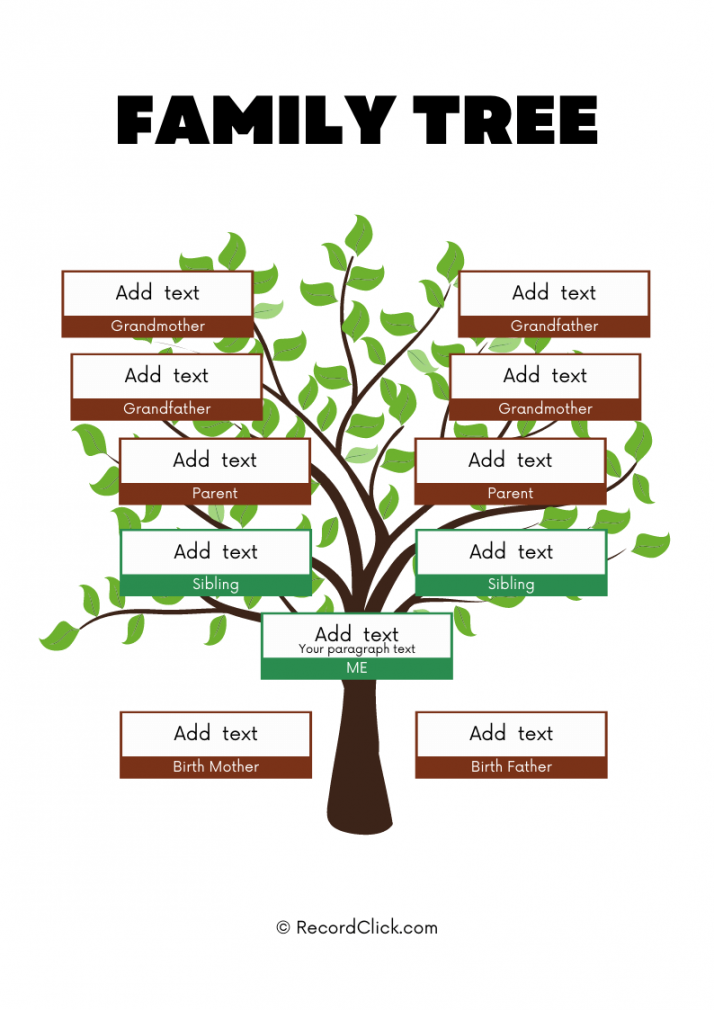 Free Family Tree Templates - Printable / Downloadable / Editable