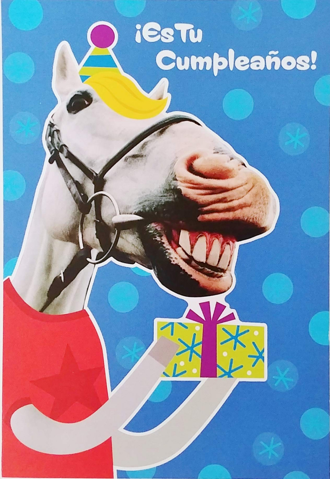 Greeting Card Feliz Cumpleanos - Funny Happy Birthday in Spanish Espanol  with Festive Horse