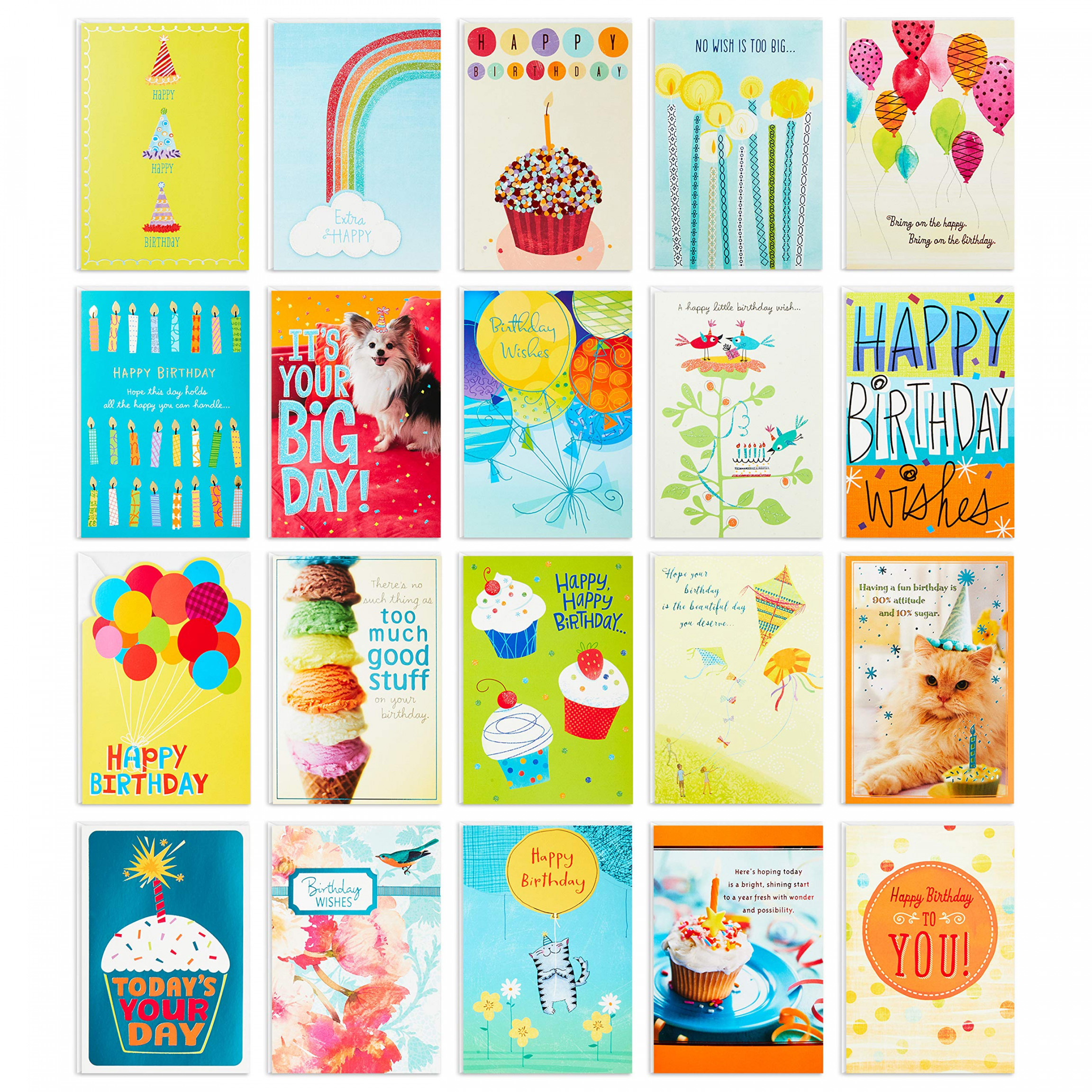 Hallmark Birthday Card Assortment,  Cards with Envelopes (Refill Card  Organiser Box)