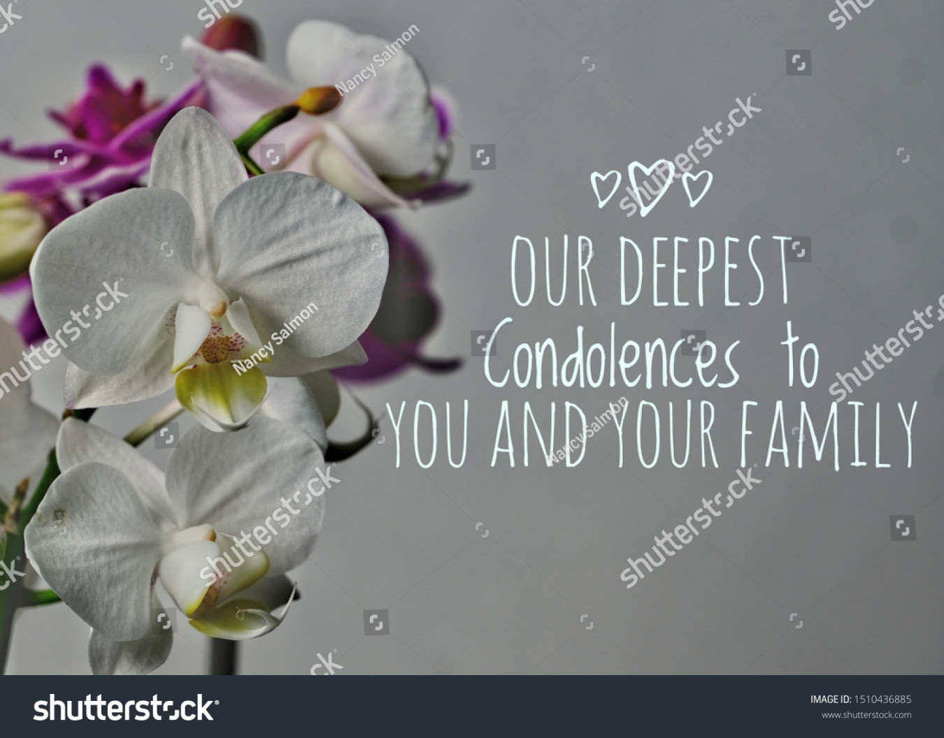 Our Condolences You Your Family Images, Stock Photos, D