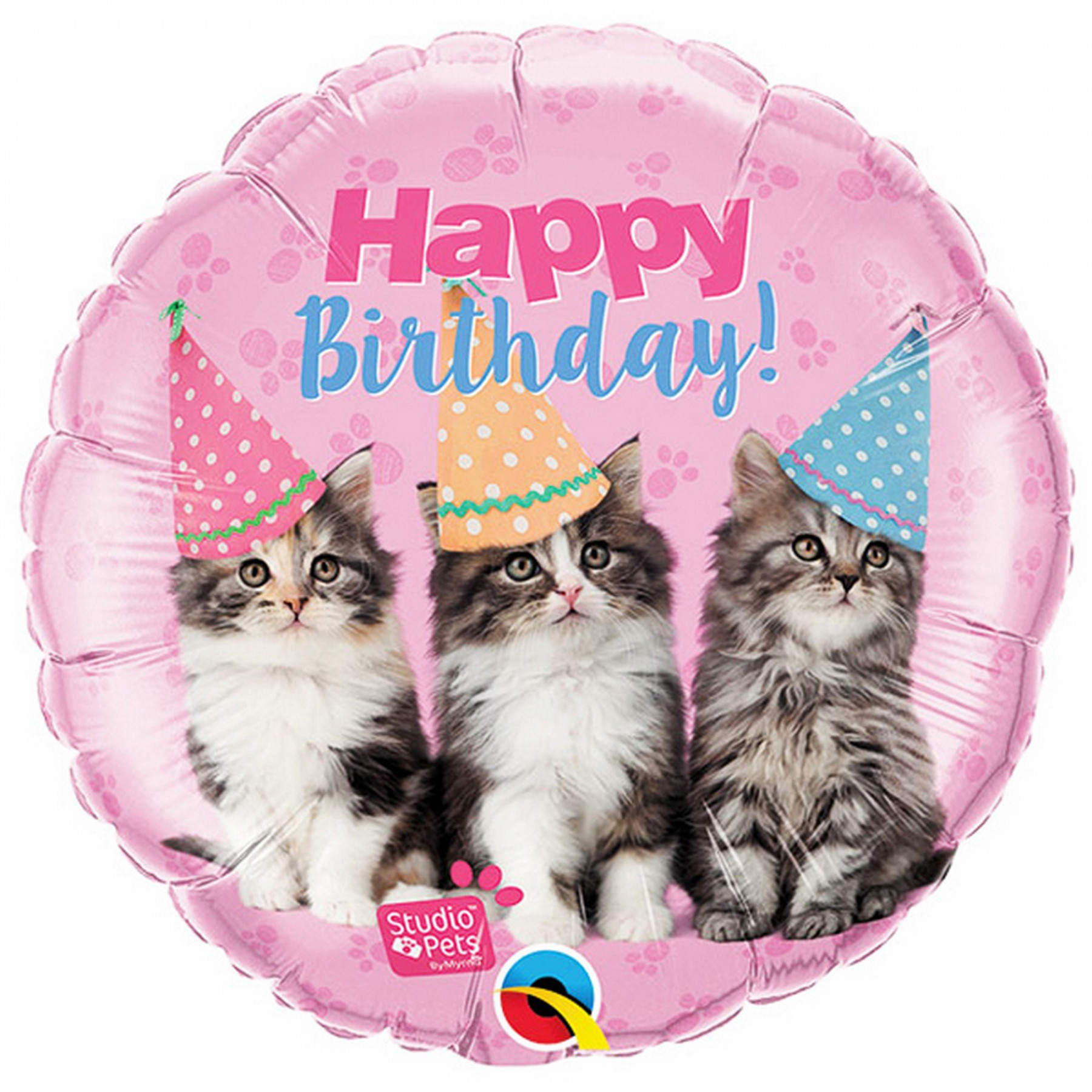 Qualatex Studio Pets Happy Birthday Kittens  Inch Foil Balloon