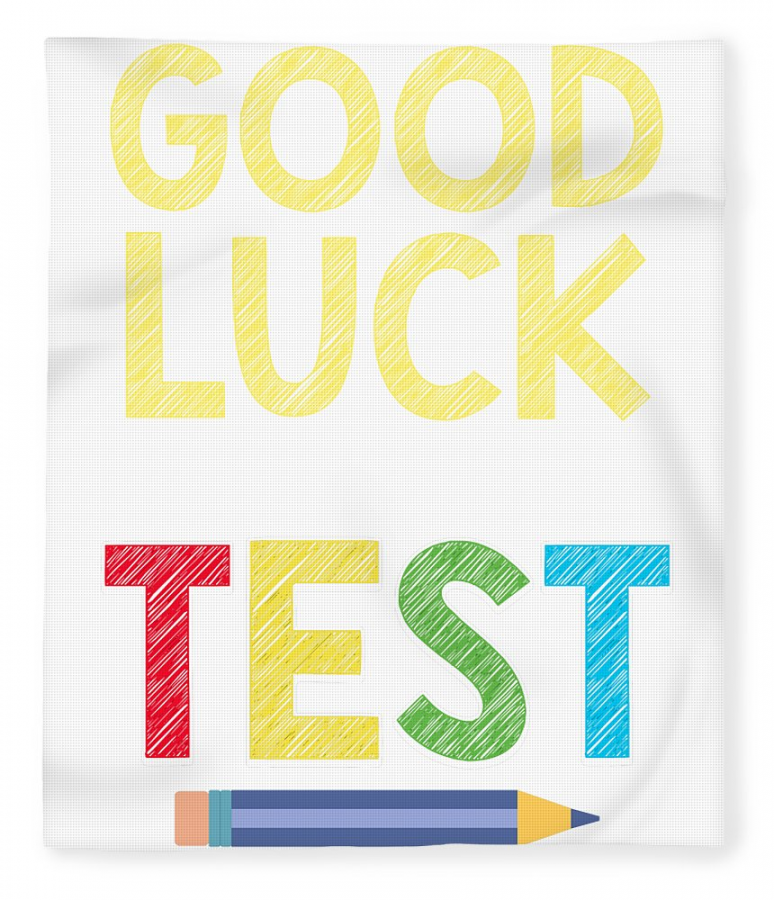 School Fun Good Luck on Your Test Teacher Student Fleece Blanket