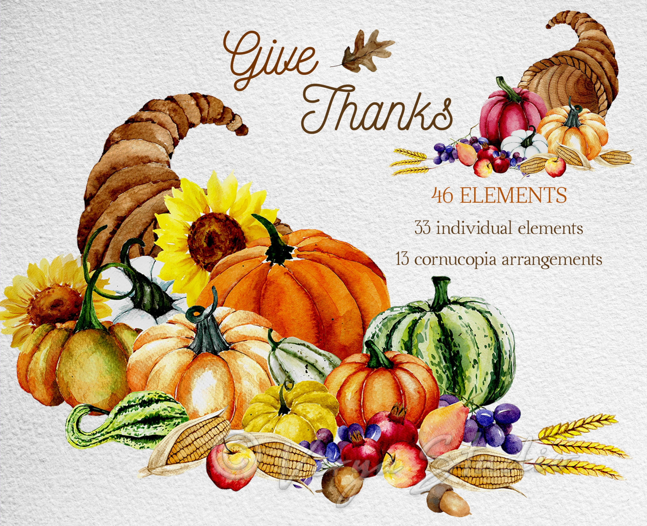 Thanksgiving Clipart Cornucopia Watercolor Pumpkins Clipart Autumn