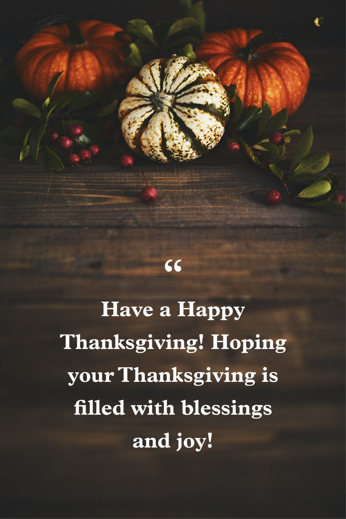 Thanksgiving Greetings - What to Write in a Thanksgiving Card