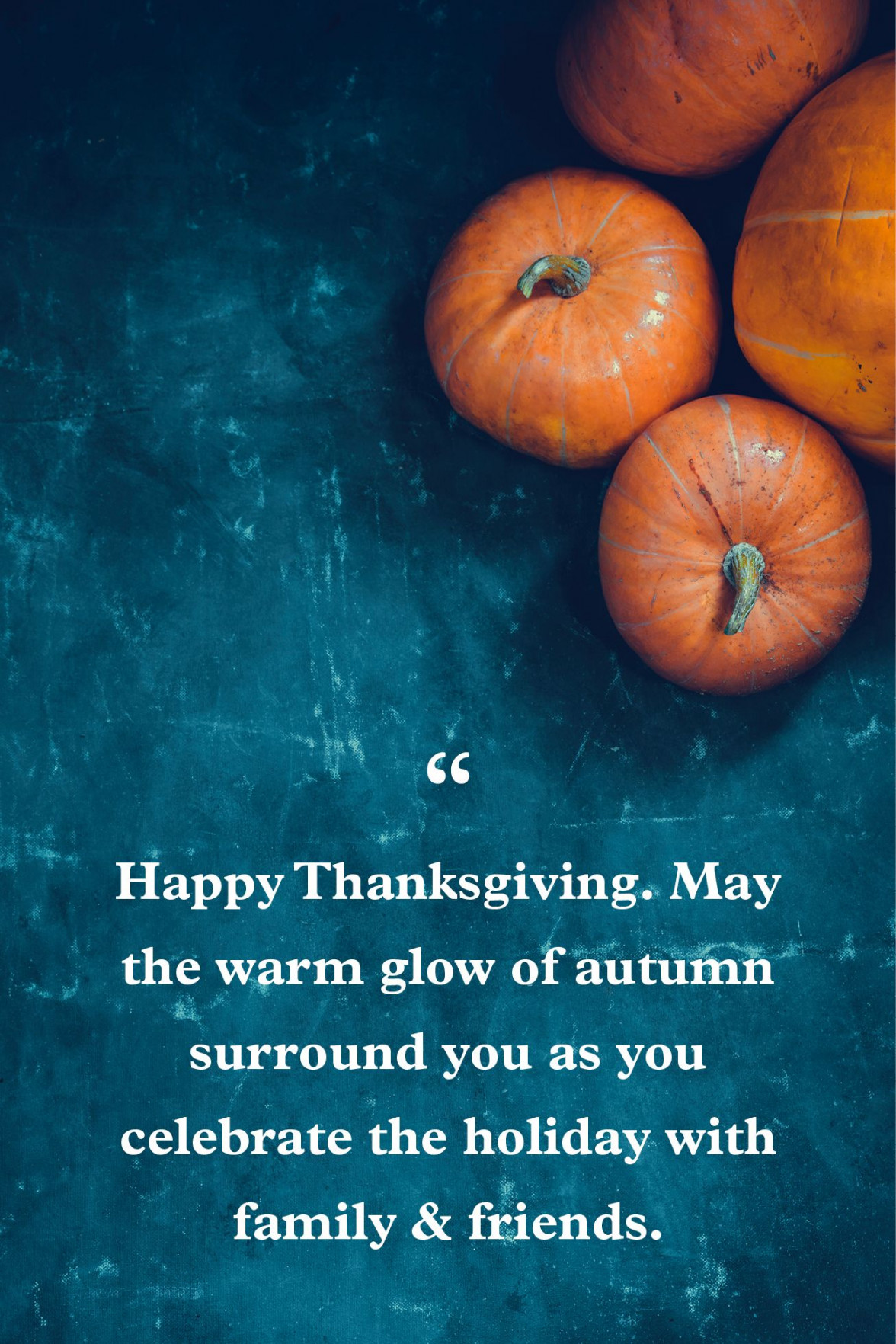 Thanksgiving Greetings - What to Write in a Thanksgiving Card