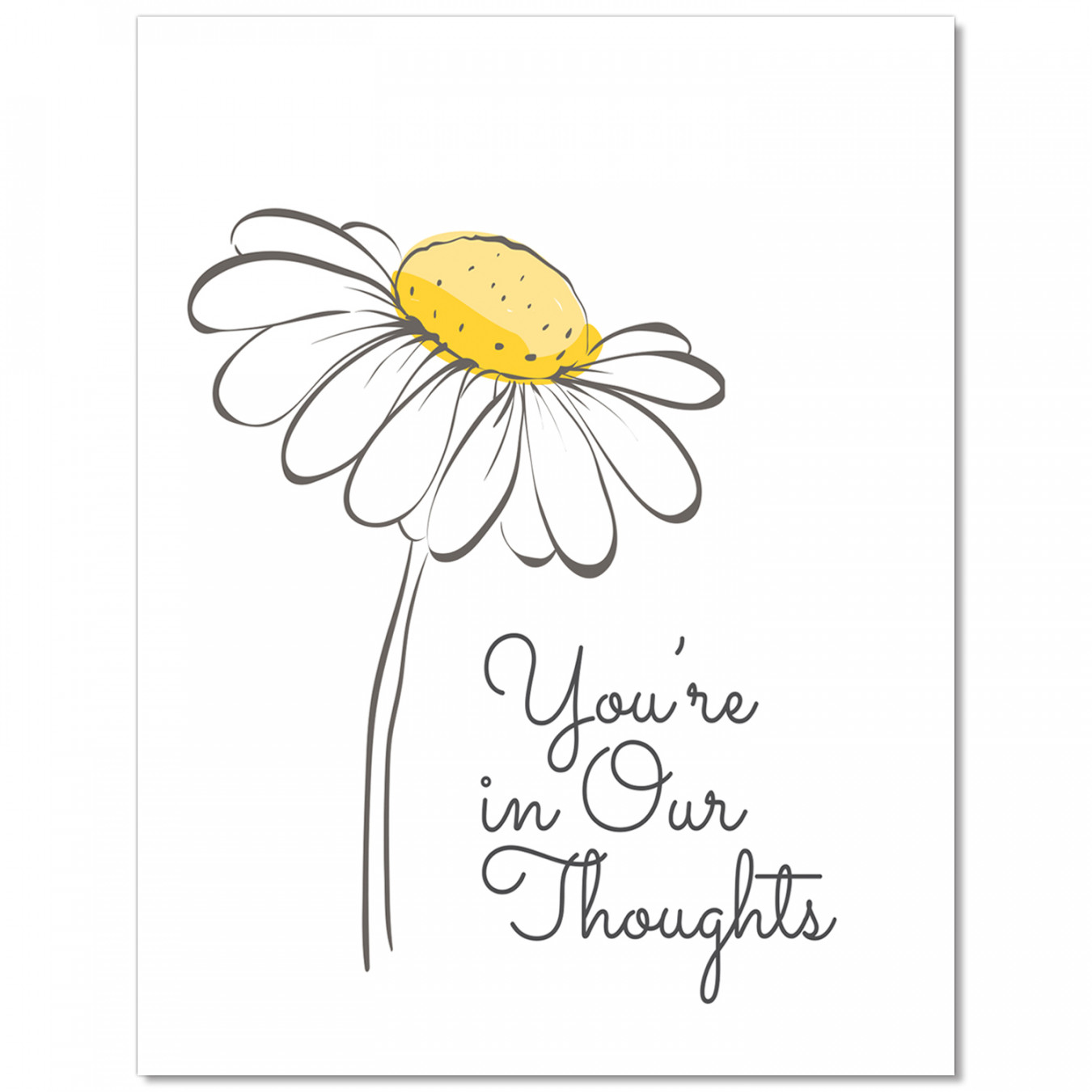 Thoughtful Daisy Sympathy Card  HRdirect