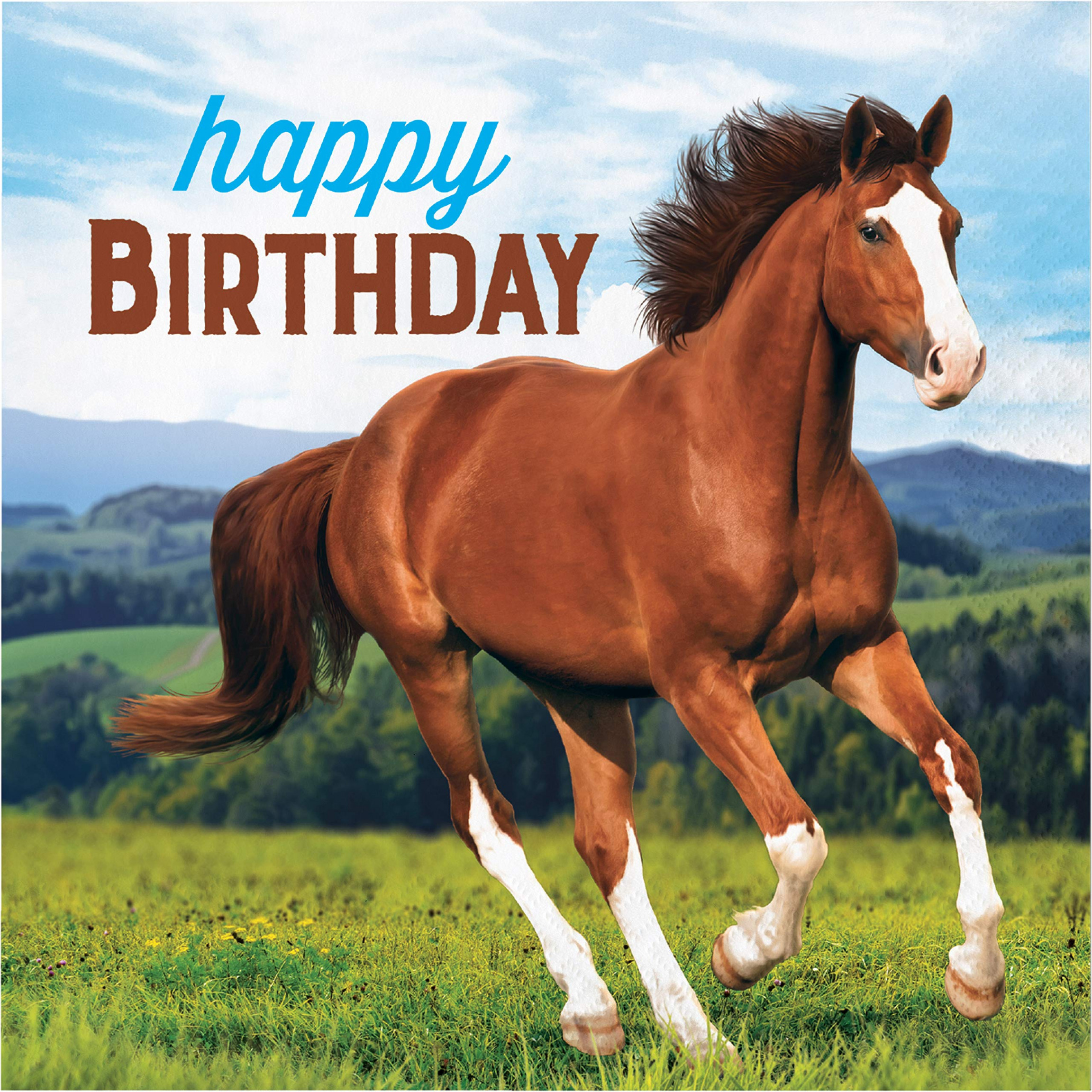 Wild Horse Servietten Happy Birthday  ct : Amazon