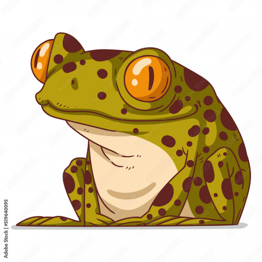 A Frog, isolated vector illustration