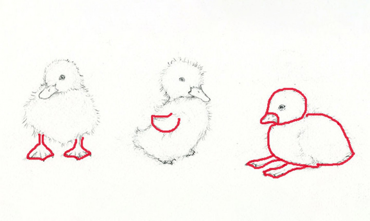 Adorable Art: Learn How to Draw and Paint a Duckling  Craftsy