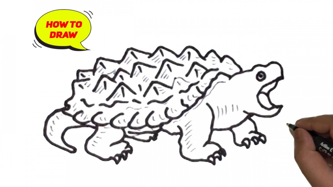 Alligator snapping turtle line drawing/ How to draw an Alligator snapping  turtle easy