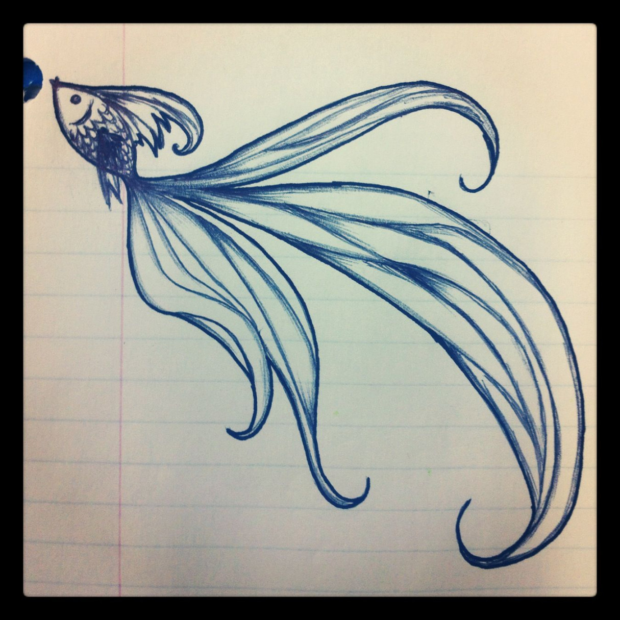 Beautiful fish drawing. Turn into tattoo maybe