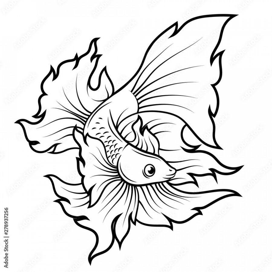 betta fish or Siamese fighter fish line art tattoo design Stock