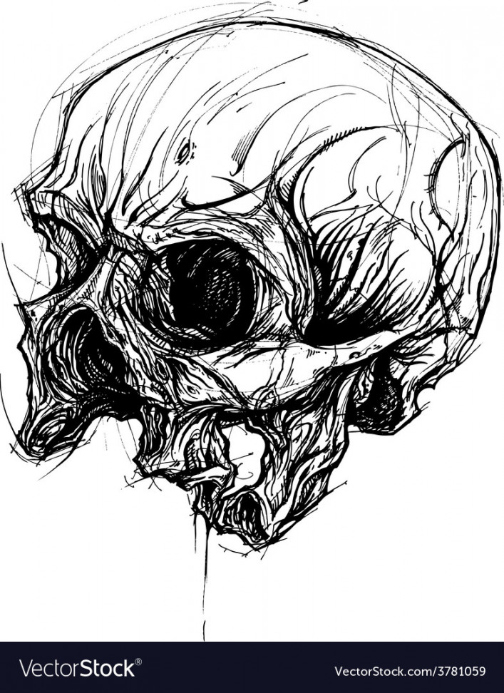 Broken skull drawing line work Royalty Free Vector Image