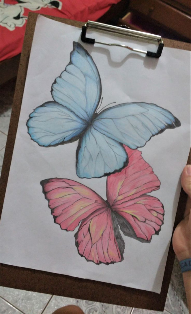 butterflies #butterfly #drawing #borboletas #draw #art  Butterfly