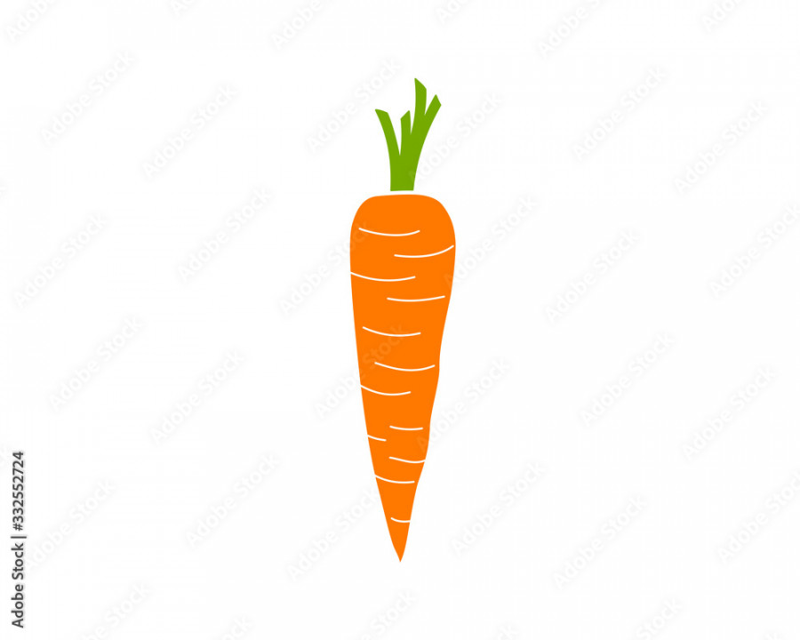 Cartoon drawing of a carrot, simple vector illustration Stock