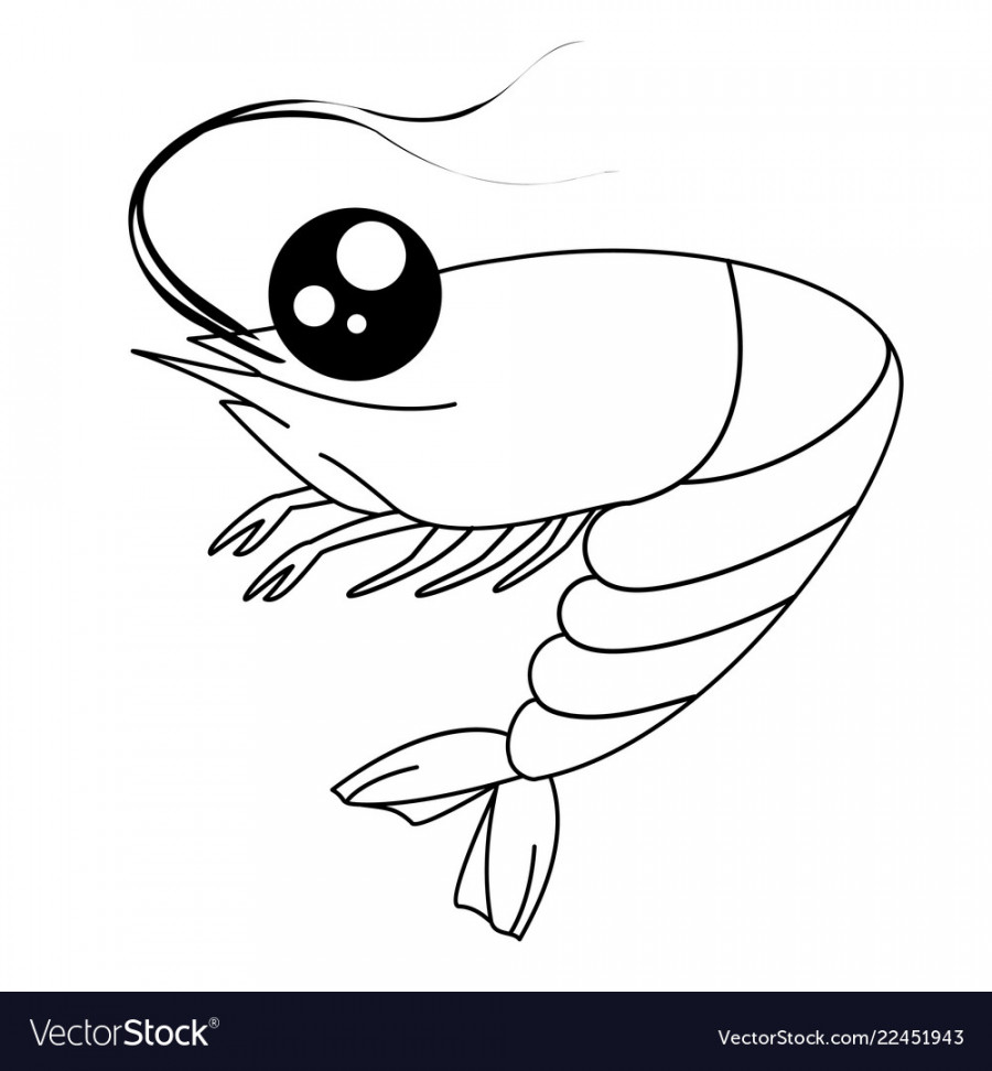 Cartoon shrimp contour drawing coloring Royalty Free Vector