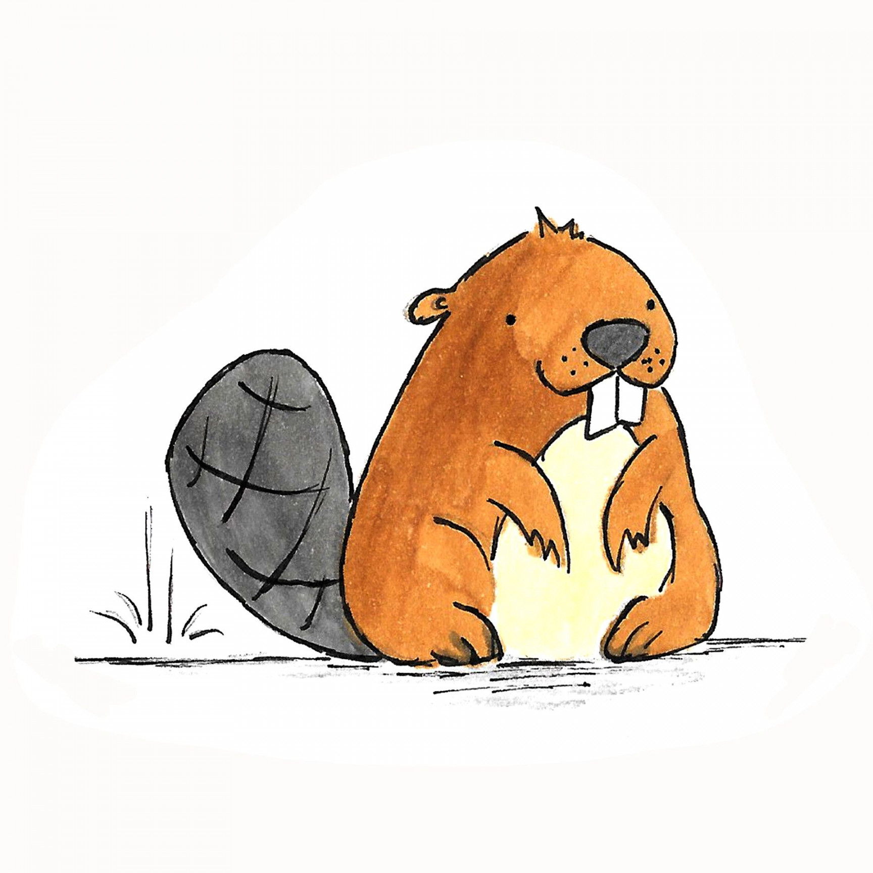 Character Design - Beaver  Art drawings, Character design, Cute