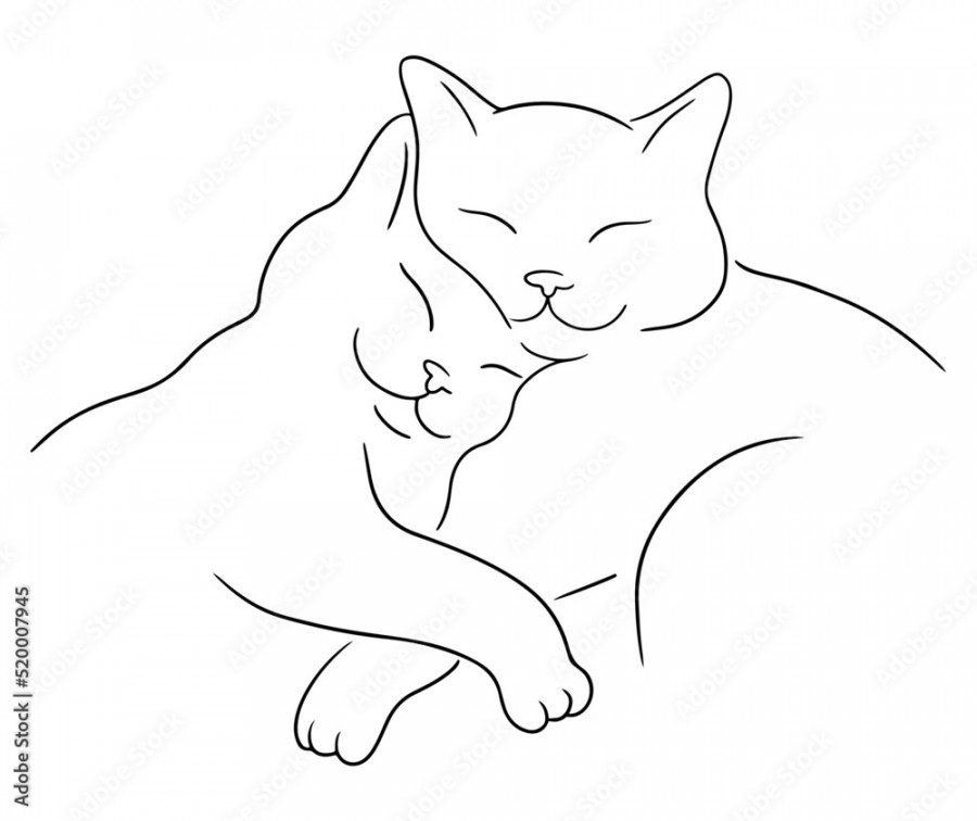 Close up illustration of two cats cuddle and sleep together