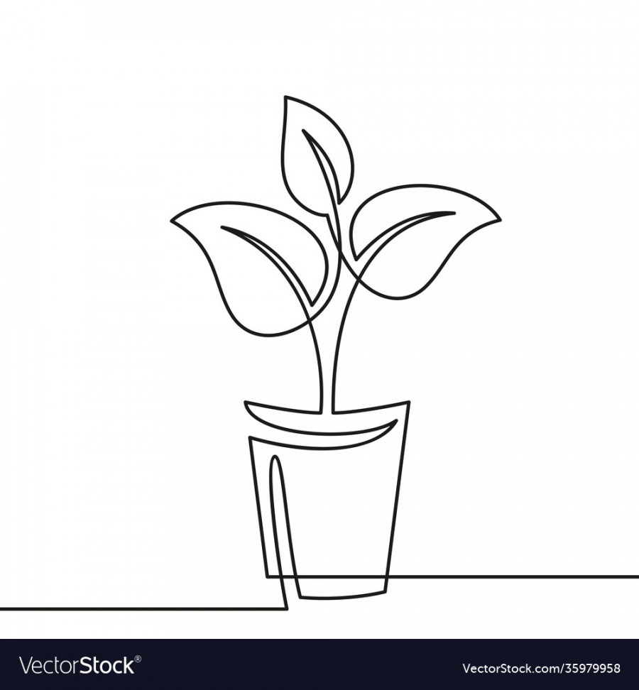 Continuous one line drawing plant in pot house Vector Image