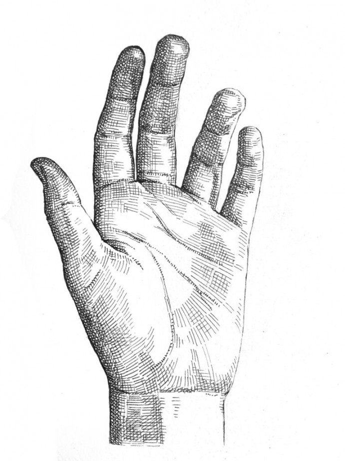 Crosshatching: How to draw a hand - Artists & Illustrators