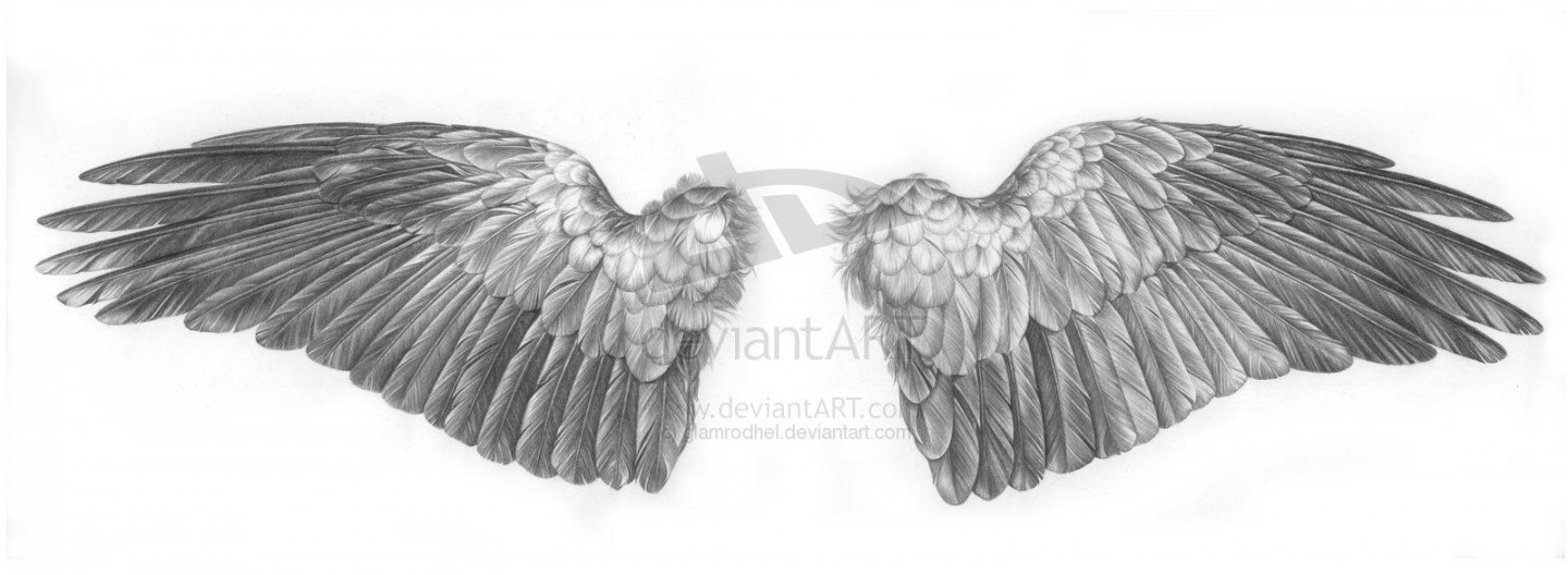 crow wings by glamrodhel on deviantART  Wings drawing, Bird