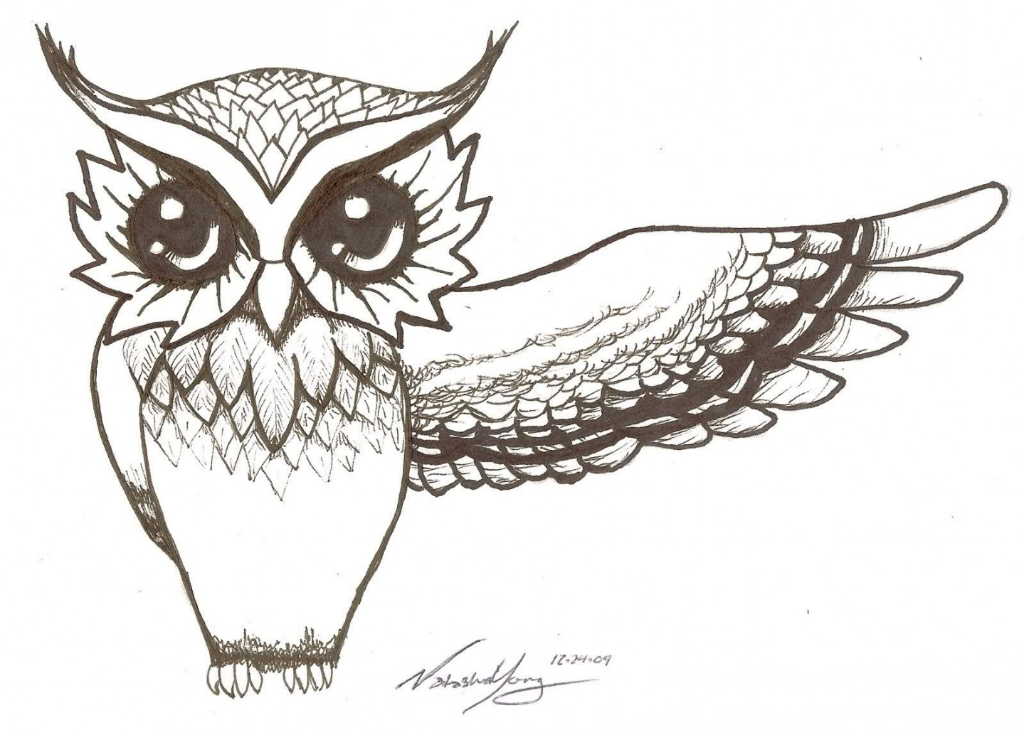 Cute owl drawing, Owls drawing, Owl drawing images