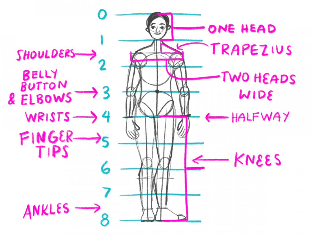 Day  // How to Draw Body Proportions • Bardot Brush