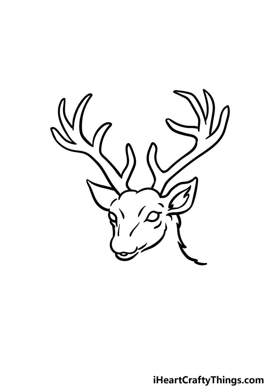 Deer Head Drawing - How To Draw A Deer Head Step By Step