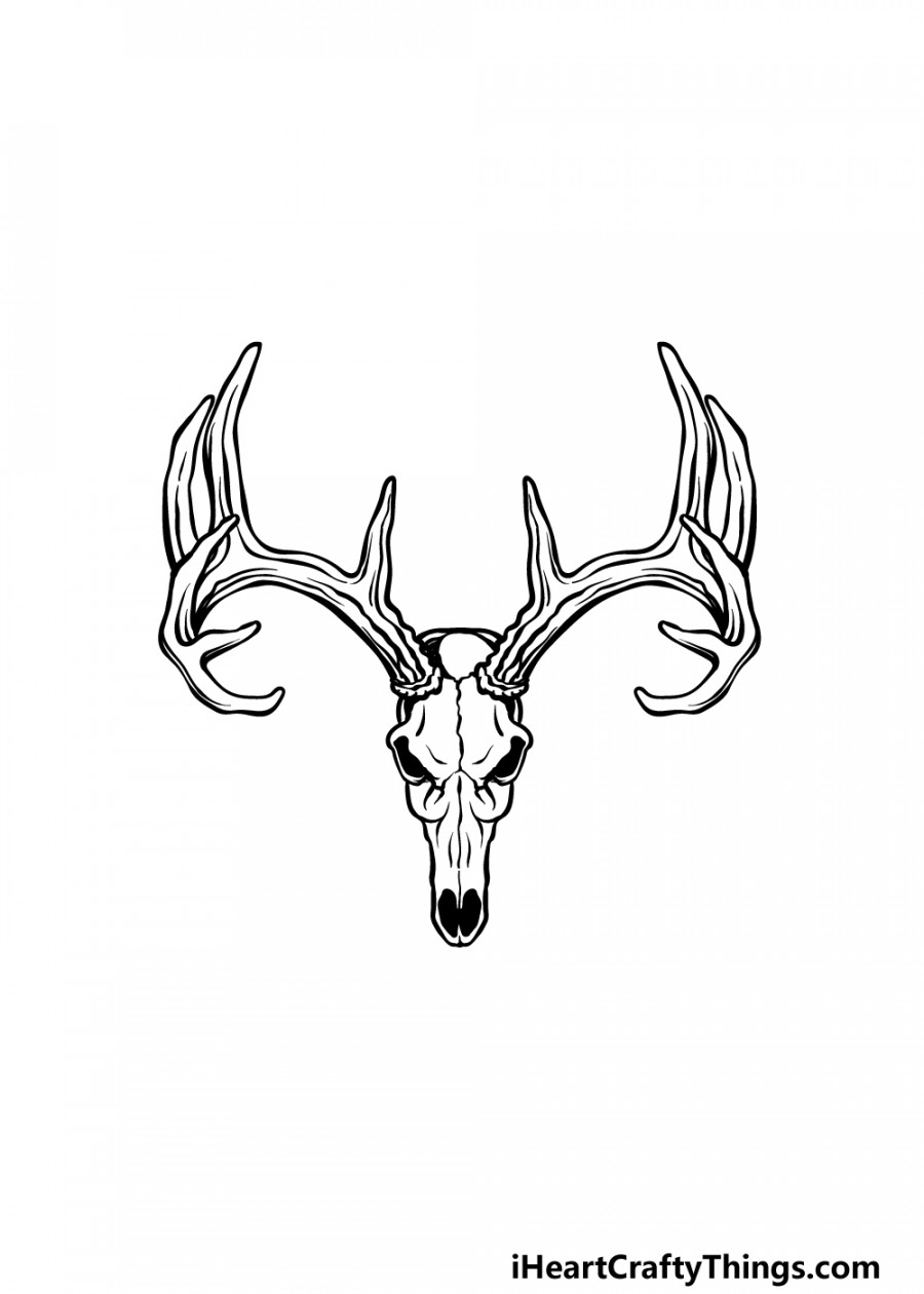 Deer Skull Drawing - How To Draw A Deer Skull Step By Step