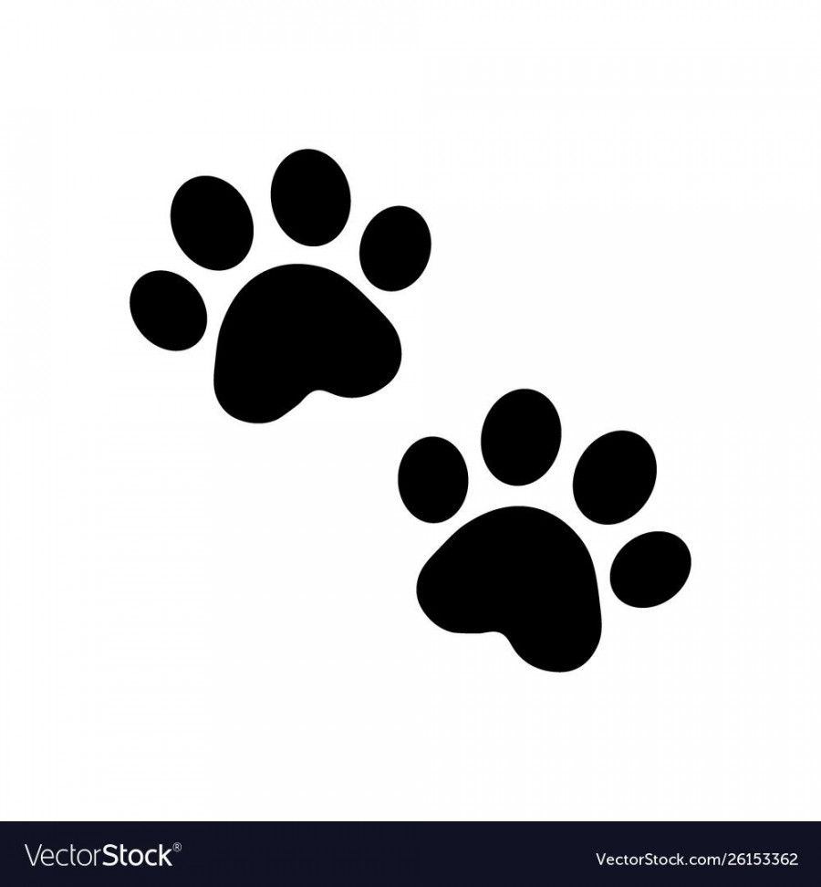 dog paw vector footprint icon logo french bulldog cat puppy kitten